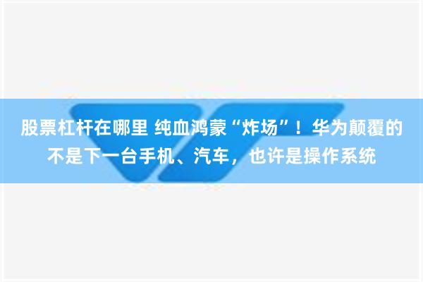 股票杠杆在哪里 纯血鸿蒙“炸场”！华为颠覆的不是下一台手机、汽车，也许是操作系统