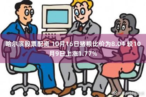 哈尔滨股票配资 10月16日猪粮比价为8.04 较10月9日上涨1.77%