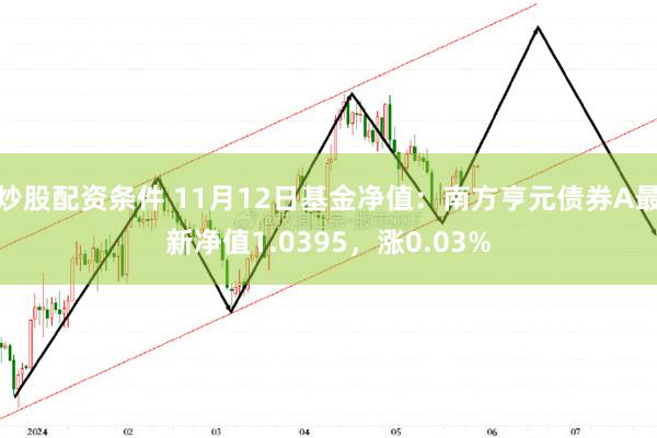 炒股配资条件 11月12日基金净值：南方亨元债券A最新净值1.0395，涨0.03%