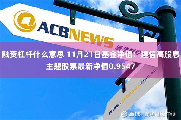 融资杠杆什么意思 11月21日基金净值：建信高股息主题股票最新净值0.9547