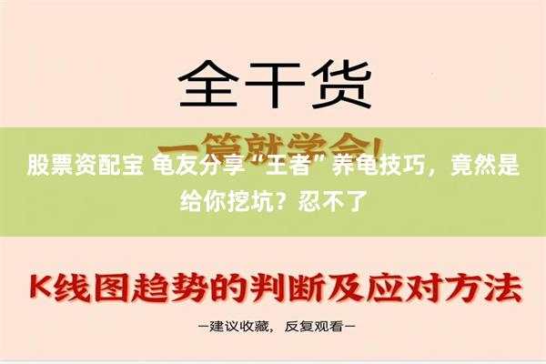 股票资配宝 龟友分享“王者”养龟技巧，竟然是给你挖坑？忍不了