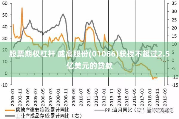 股票期权杠杆 威高股份(01066)获授不超过2.5亿美元的贷款