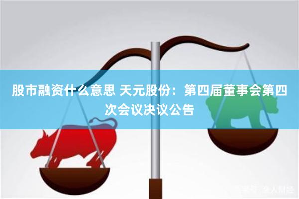 股市融资什么意思 天元股份：第四届董事会第四次会议决议公告