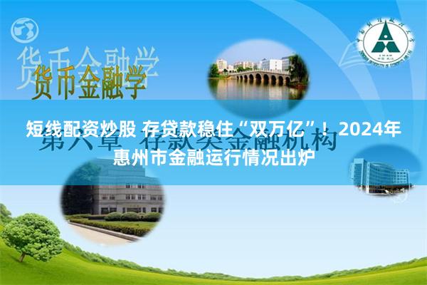 短线配资炒股 存贷款稳住“双万亿”！2024年惠州市金融运行情况出炉