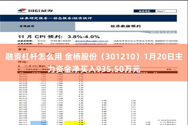 融资杠杆怎么用 金杨股份（301210）1月20日主力资金净买入935.50万元